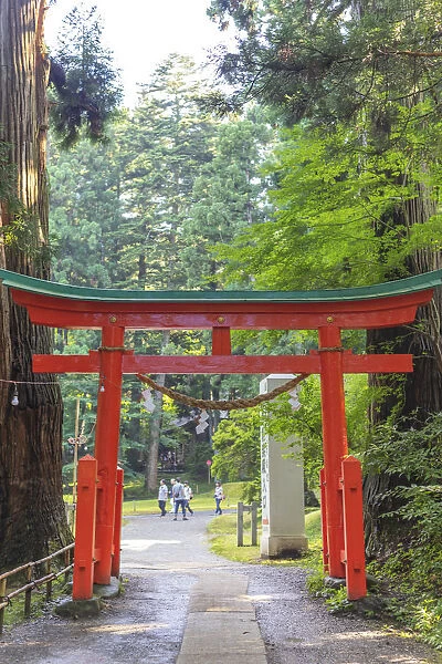 Torii gate, Takkoku no Iwaya Bishaman do temple, UNESCO World Heritage Site, Hiraizumi