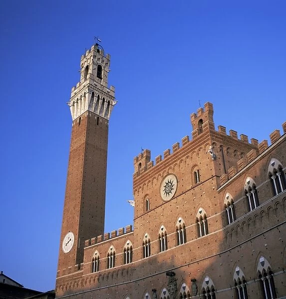 The Torre del Mangia and Palazzo Pubblico