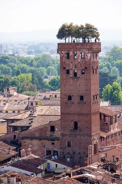 Torre Guinigi as seen from Torre delle Ore, Lucca, Tuscany, Italy, Europe