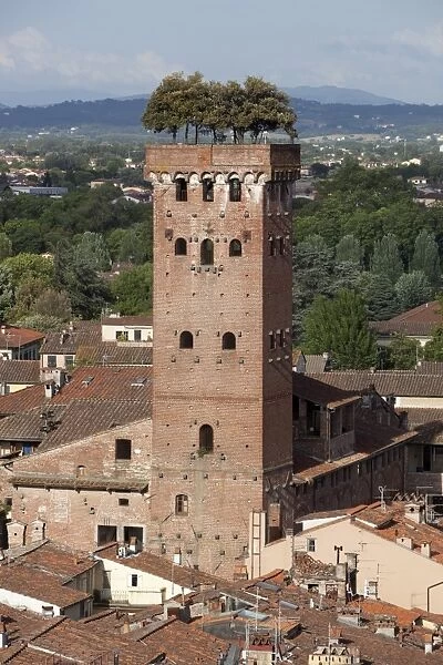 Torre Guinigi topped by Holm oak tree, Lucca, Tuscany, Italy, Europe
