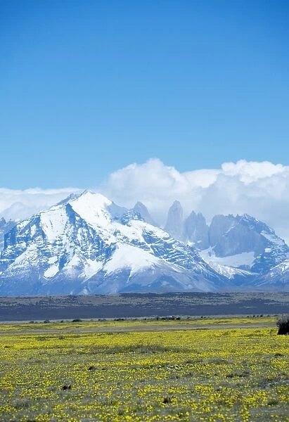 Torres del Paine massif, Torres del Paine National Park, Patagonia, Chile, South America