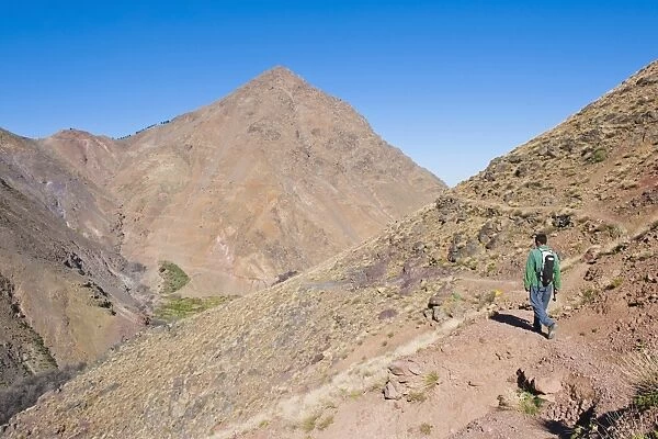 Tour guide trekking between Tacheddirt and Tizi n Tamatert, High Atlas Mountains, Morocco, North Africa, Africa