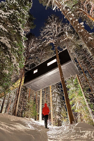 Tourist admires the elevated hotel room capsule shaped among snowy trees in the boreal forest, Swedish Lapland, Harads, Sweden, Scandinavia, Europe