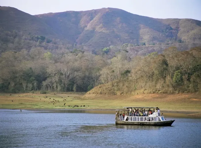 Framed Print : Tourist boat viewing animals Framed Print : Tourist boat viewing animals