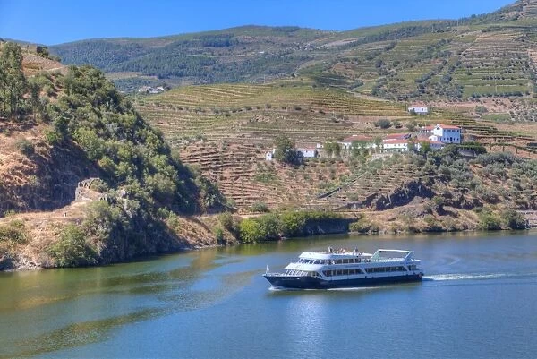 Tourist boat, vineyards and the Douro River, Alto Douro Wine Valley, UNESCO World Heritage Site