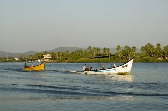 Framed Print : Tourist boats on backwater near Mobor Framed Print : Tourist boats on backwater near Mobor