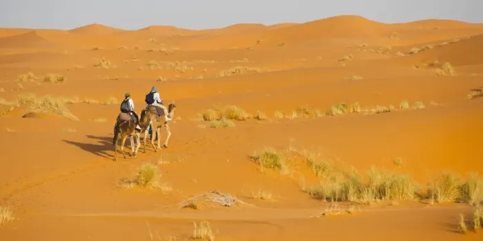 Framed Print : Tourist couple on a camel ride in Erg Chebbi Desert, Sahara Desert near Merzouga, Morocco, North Africa, Africa Framed Print : Tourist couple on a camel ride in Erg Chebbi Desert, Sahara Desert near Merzouga, Morocco, North Africa, Africa