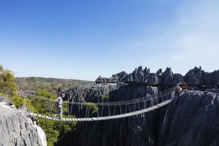 Framed Print : Tourist crossing a rope bridge, Grand Tsingy, Tsingy du Bemaraha National Park, UNESCO Framed Print : Tourist crossing a rope bridge, Grand Tsingy, Tsingy du Bemaraha National Park, UNESCO