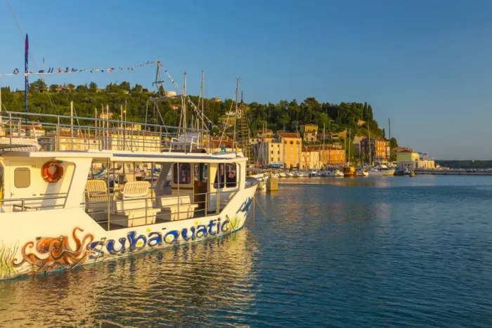 Framed Print : Tourist sightseeing boat, Old Town Harbour, Piran, Primorska, Slovenian Istria, Slovenia, Europe Framed Print : Tourist sightseeing boat, Old Town Harbour, Piran, Primorska, Slovenian Istria, Slovenia, Europe