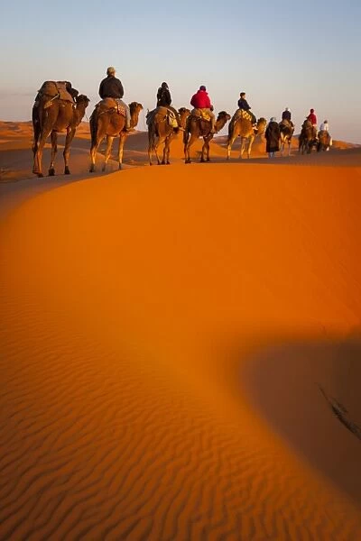 Tourists on camel safari, Sahara Desert, Merzouga, Morocco, North Africa, Africa