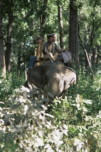 Tourists on elephant back