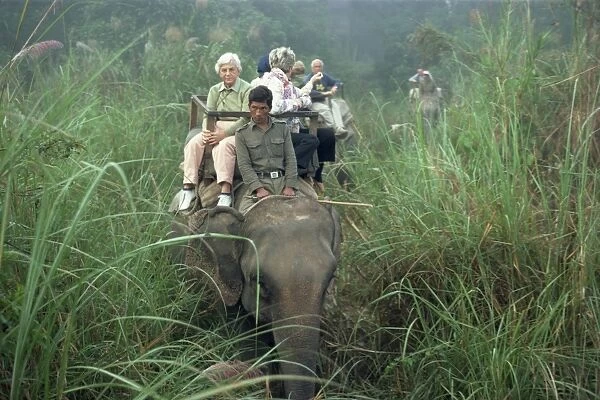 Tourists on elephant back in long grass