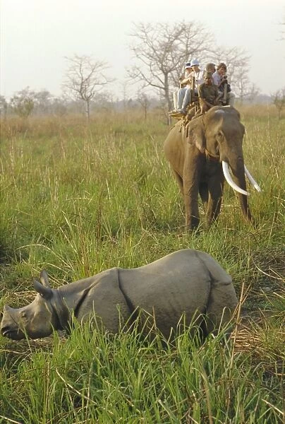 Tourists on elephant back sighting rhino