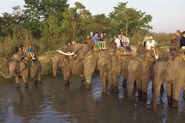 Tourists on elephant back wait while elephants drink