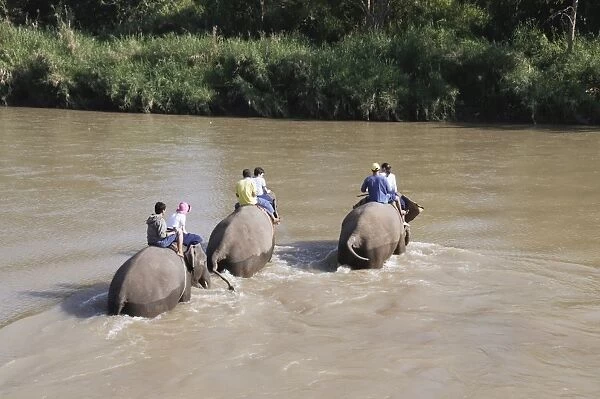 Tourists and elephants at the Anantara Golden Triangle Resort, Sop Ruak