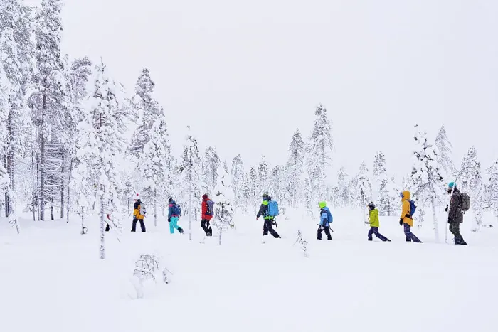 Framed Print : Tourists enjoying walking in the snowy forest, Iso Syote, Northern Ostrobothnia, Lapland, Finland, Europe Framed Print : Tourists enjoying walking in the snowy forest, Iso Syote, Northern Ostrobothnia, Lapland, Finland, Europe