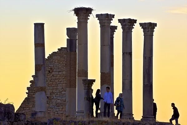 Tourists at excavated Roman City of Volubilis, UNESCO World Heritage Site, Morocco, North Africa, Africa