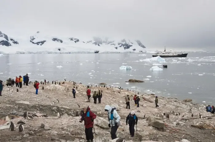 Framed Print : Tourists and gentoo penguins, Neko Harbour, Antarctic Peninsula, Antarctica Framed Print : Tourists and gentoo penguins, Neko Harbour, Antarctic Peninsula, Antarctica