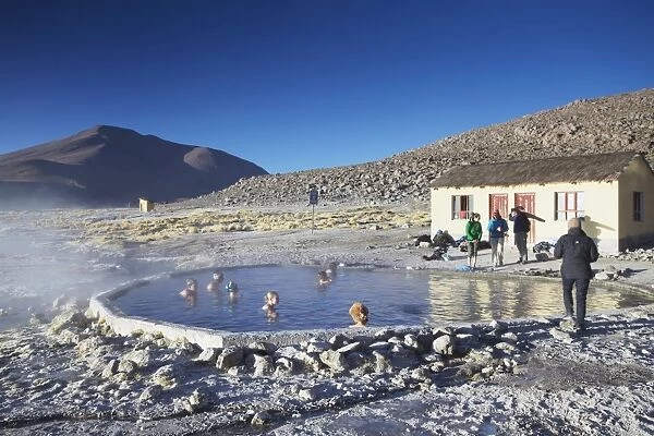 Tourists in hot springs of Termas de Polques on the Altiplano, Potosi Department, Bolivia, South America
