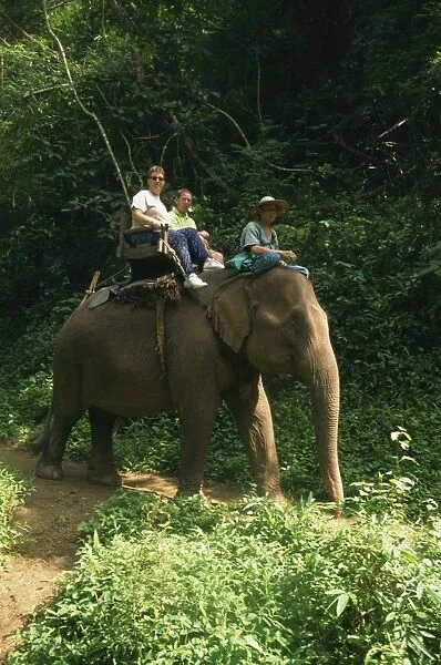 Tourists ride on an elephant at the Chiang Dao Elephant