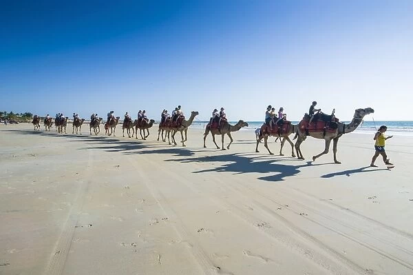 Tourists riding on camels on Cable Beach, Broome, Western Australia, Australia, Pacific
