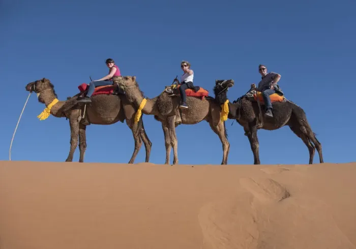 Framed Print : Tourists riding camels in the Erg Chebbi Desert, Sahara Desert, Morocco, North Africa