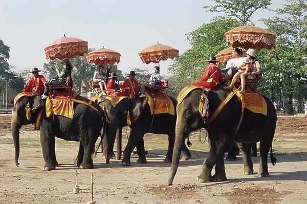 Tourists riding elephants in traditional royal style