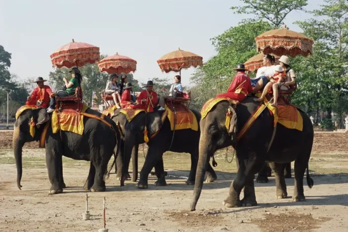 Framed Print : Tourists riding elephants in traditional royal style Framed Print : Tourists riding elephants in traditional royal style