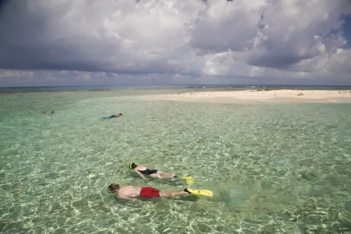 Framed Print : Tourists snorkelling, Bird Island, Belize, Central America Framed Print : Tourists snorkelling, Bird Island, Belize, Central America