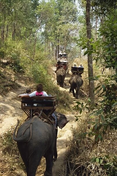 Tourists taking elephant ride at Elephant Show