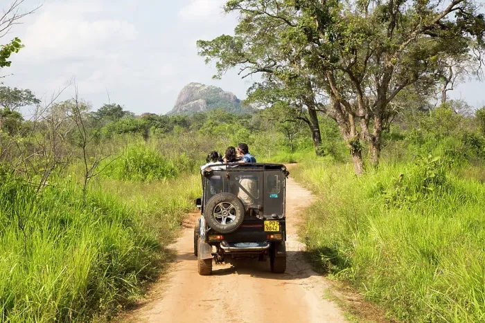 Framed Print : Tourists in vehicle on Elephant safari in Hurulu Eco Park biosphere reserve, Habarana, Anuradhapura District, Sri Lanka, Asia Framed Print : Tourists in vehicle on Elephant safari in Hurulu Eco Park biosphere reserve, Habarana, Anuradhapura District, Sri Lanka, Asia