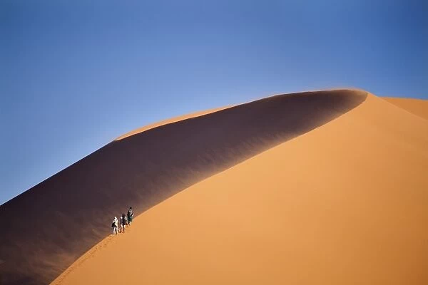 Tourists walking up the snaking ridge of Elim Dune against blue sky, Namib Desert near Sesriem, Namib Naukluft Park, Namibia, Africa