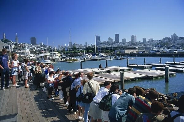 Tourists watching sea lions on Pier 39