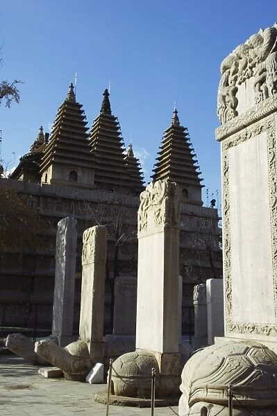 A five towered temple and ancestral tombs inscribed with dead persons contributions