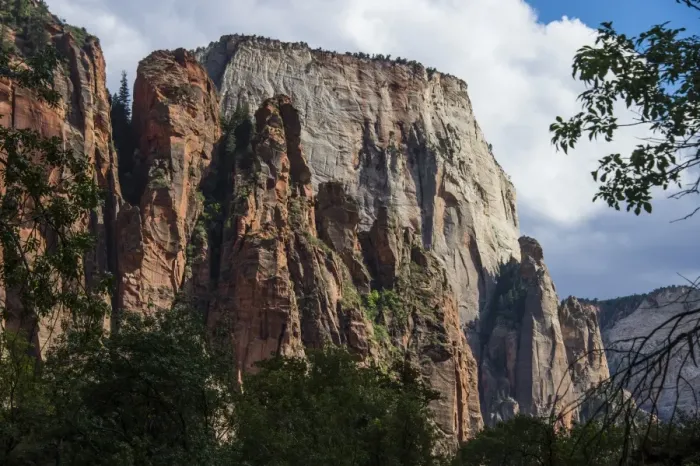 Framed Print : The towering cliffs of the Zion National Park, Utah, United States of America, North America Framed Print : The towering cliffs of the Zion National Park, Utah, United States of America, North America