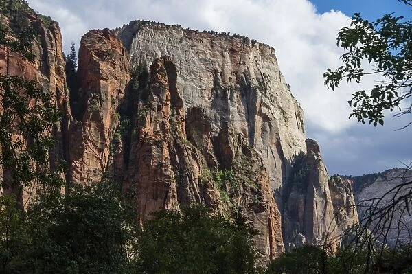 The towering cliffs of the Zion National Park, Utah, United States of America, North America
