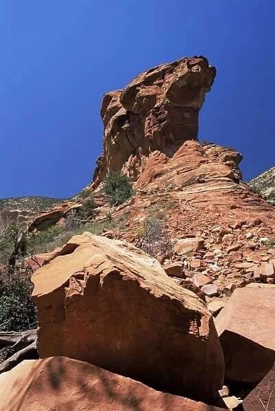 Towering red sandstone cliffs at the head of Fay Canyon