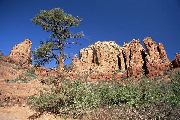 Towering red sandstone cliffs viewed from the Broken Arrow Trail