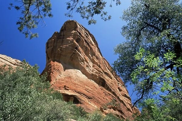 Towering red sandstone cliffs viewed from the Fay Canyon Trail