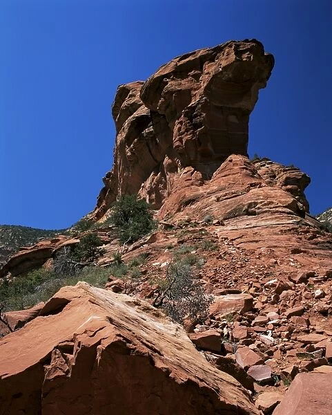 Towering red standstone cliffs at the head of Fay Canyon
