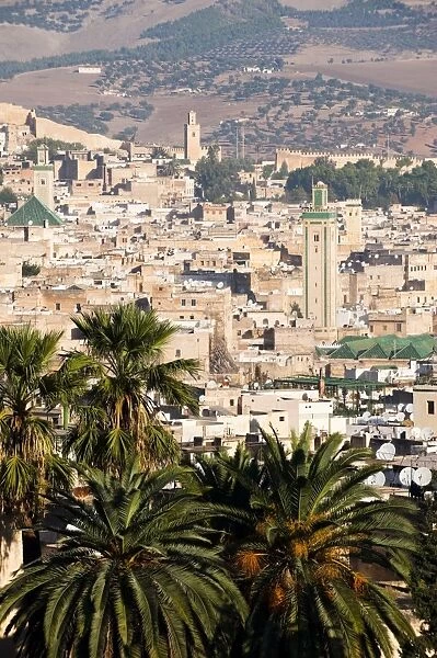 Town of Fez, Morocco, North Africa, Africa