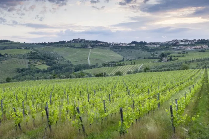 Framed Print : The town of Panzano in Chianti, part of the famous Chianti wine region in Tuscany, Italy, Europe