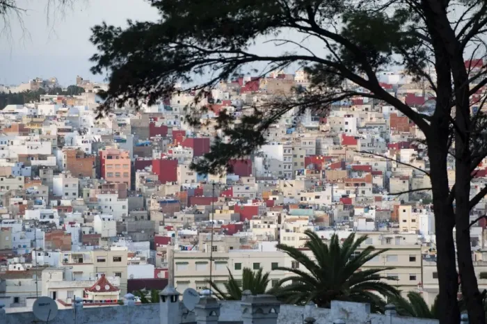 Framed Print : Town of Tangier from opposite hill through trees, Morocco, North Africa, Africa