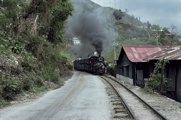 Toy Train en route for Darjeeling