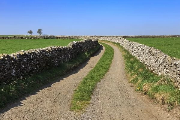 Track disappears into distance, between dry stone walls, a typical country scene