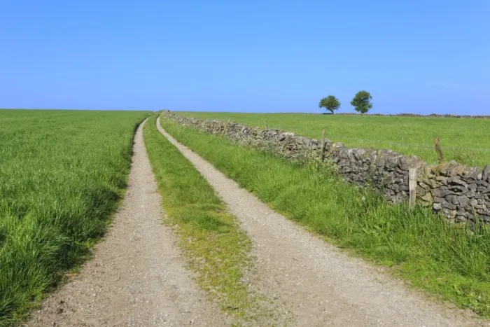 Framed Print : Track disappears into distance, grass, two trees and dry stone walls, typical country scene Framed Print : Track disappears into distance, grass, two trees and dry stone walls, typical country scene