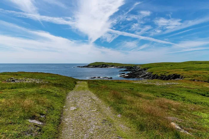 Framed Print : Track leading to Mistaken Point, UNESCO World Heritage Site, Avalon Peninsula, Newfoundland, Canada, North America Framed Print : Track leading to Mistaken Point, UNESCO World Heritage Site, Avalon Peninsula, Newfoundland, Canada, North America