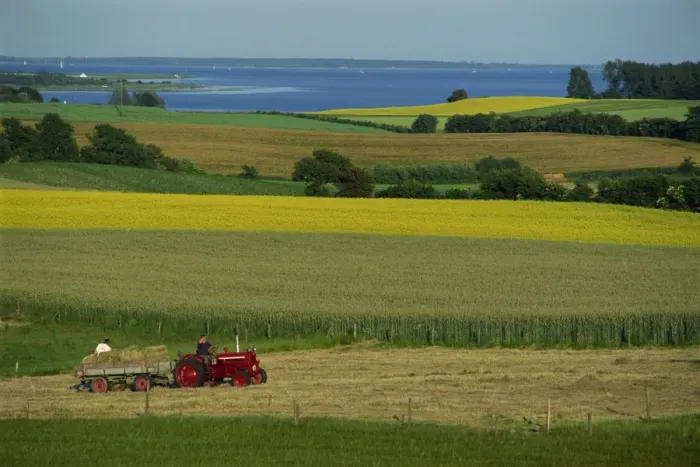 Framed Print : Tractor in field at harvest time, east of Faborg, Funen Island, Denmark Framed Print : Tractor in field at harvest time, east of Faborg, Funen Island, Denmark