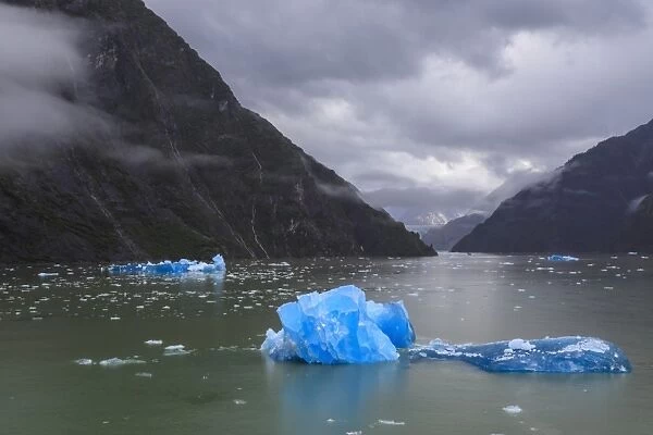Tracy Arm Fjord, clearing mist, brilliant blue icebergs, cascades and glimpse of