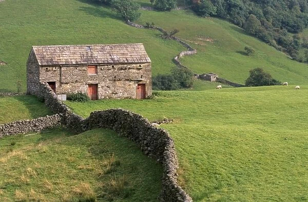 Traditional barn in upper Swaledale, Yorkshire Dales National Park, Yorkshire